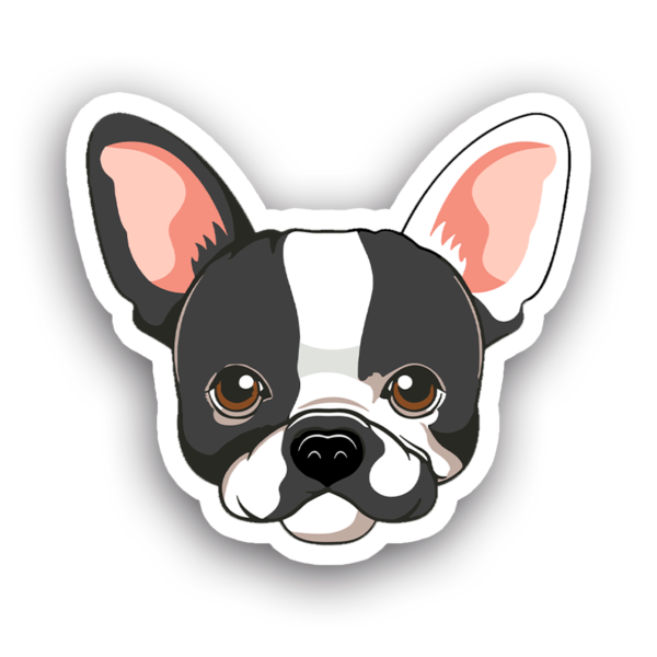 Animales #0017