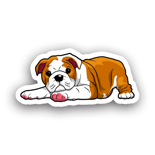 Animales #0019