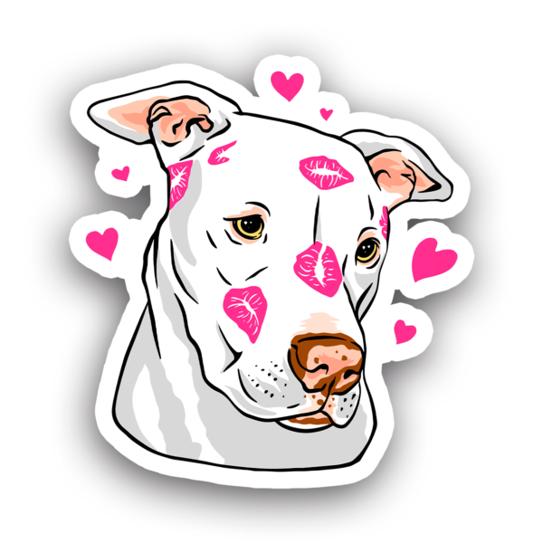Animales #0023