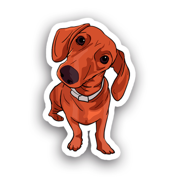 Animales #0029