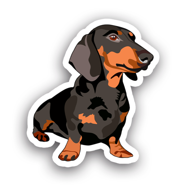Animales #0032