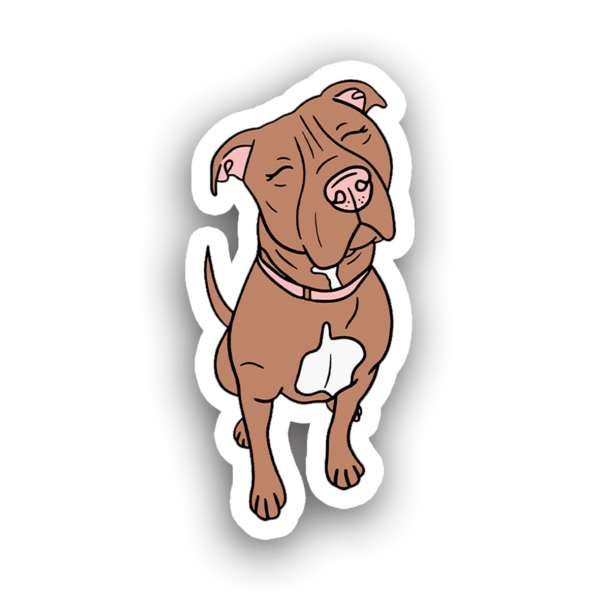 Animales #0033