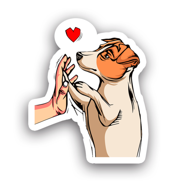 Animales #0041