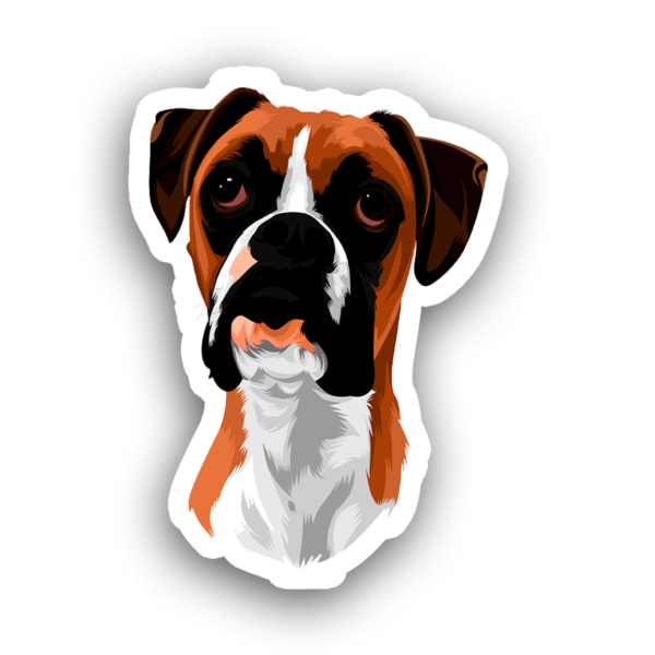 Animales #0058