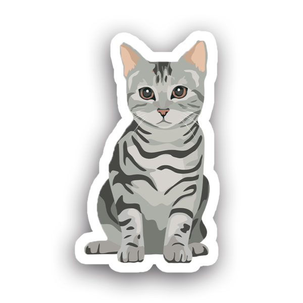 Animales #0071
