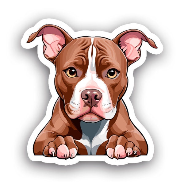 Animales #0073