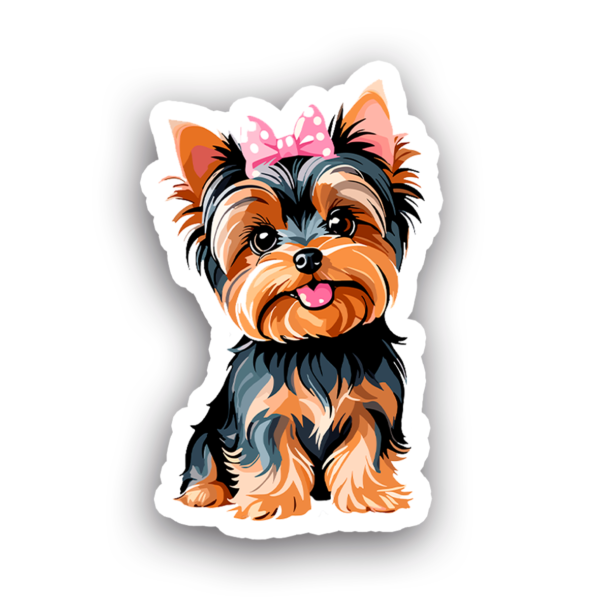 Animales #0074
