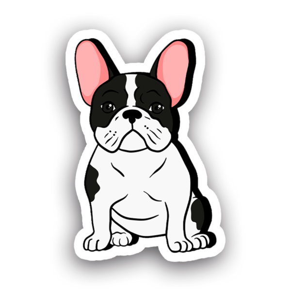 Animales #0085