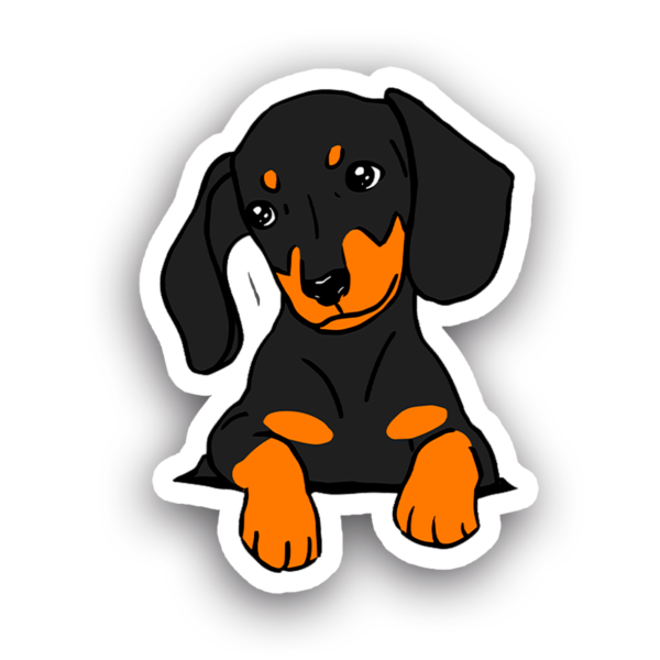 Animales #0086