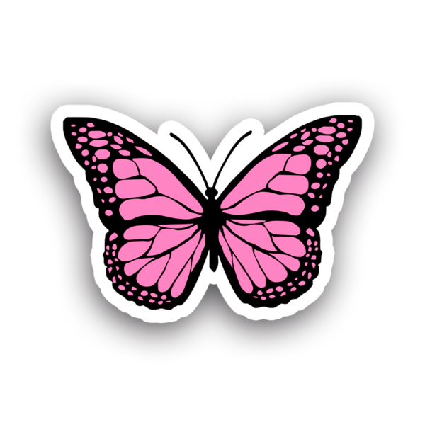 Mariposas #0027